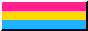 pansexual flag